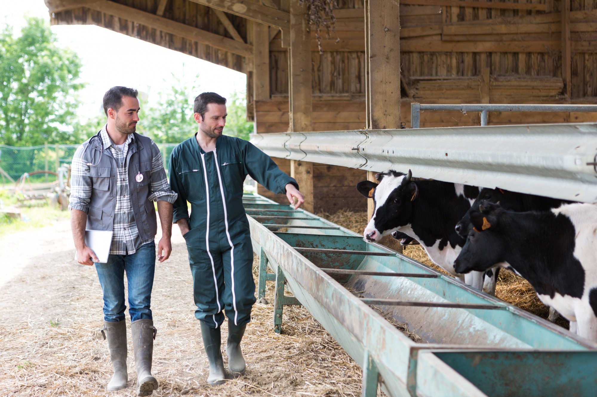 Vêtements de travail artisans agriculteurs - combinaison