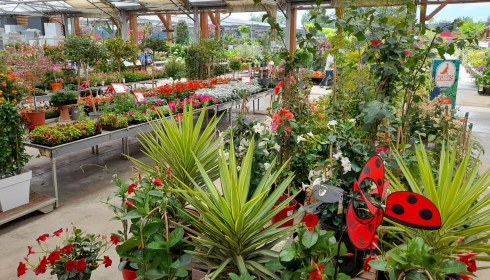 JARDINERIE TOULOUSAINE - KIRIEL SAINT JORY