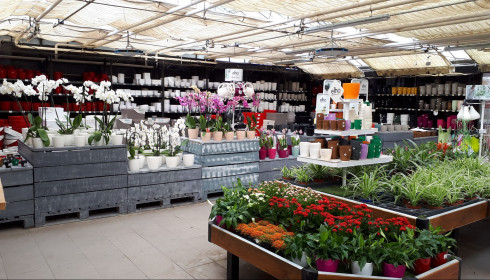 JARDINERIE TOULOUSAINE - KIRIEL SAINT JORY