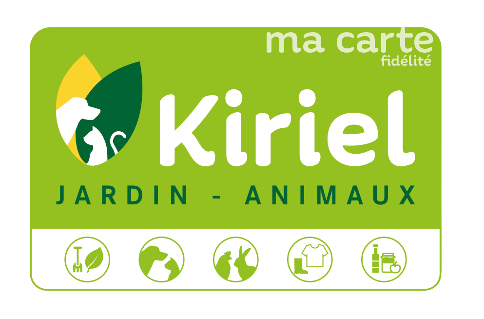 carte kiriel